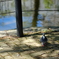 DSCF1245