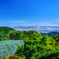山登り