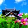 郡山城 ～初秋の彩り～