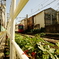 都電荒川線