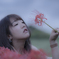 彼岸花