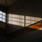 春