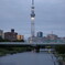 夕景/ スカイツリー