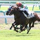 2017.9.18中山競馬場