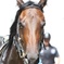 2017.9.18中山競馬場