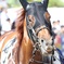 2017.9.18中山競馬場