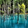 intense blue