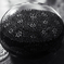 R0010440