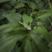 R0010793