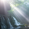 Light shower