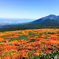 三ツ石山