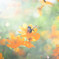 秋桜の花に魅せられて