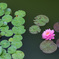5DmkIV_002534