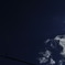 黒