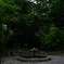 公園スナップ