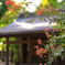 新勝寺