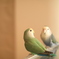 コザクラインコ