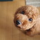 じーっ