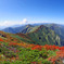 谷川岳　IMGP0128