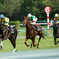 競馬