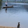 老人と猫