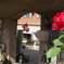 DSC04507