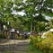 DSC04520