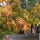 DSC04523