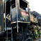 D51 999