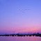 Mizushima* -sun set-