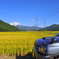 愛車と田園風景