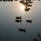 葛西臨海公園 2/5