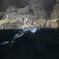 葛西臨海公園 3/5