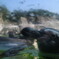 葛西臨海公園 4/5