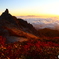 南アルプス 鳳凰三山 地蔵岳（オベリスク）夜明け