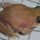aoiri310810
