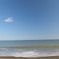 海