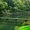 沈下橋