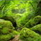 苔渓谷