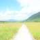 タデ原