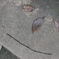 笑顔