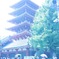 浅草