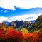 涸沢の紅葉