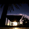 sunset beach in summer