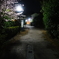 あじろぎの道　春