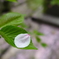 春の嵐　その後１