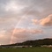 Over the rainbow 