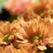 D6CA9486-505A-421A-86D9-ED01AEFA521C