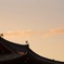 平等院鳳凰堂