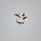 Oregon International Airshow 2017